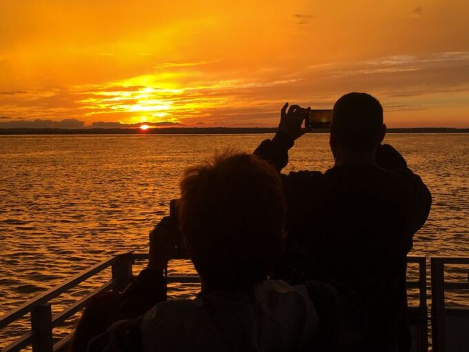 Chincoteague: Assateague Island Sunset Boat Cruise - Wildlife and Scenery