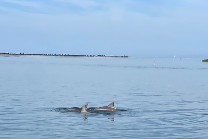 Chincoteague Dolphin Watching Boat Tour - Key Points