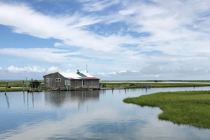 Chincoteagues Up The Bay Pony and Wildlife Tour by Boat - Inclusions