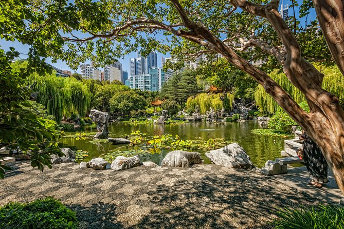 Chinese Garden General Admission Ticket - Daily Koi Feeding Opportunity