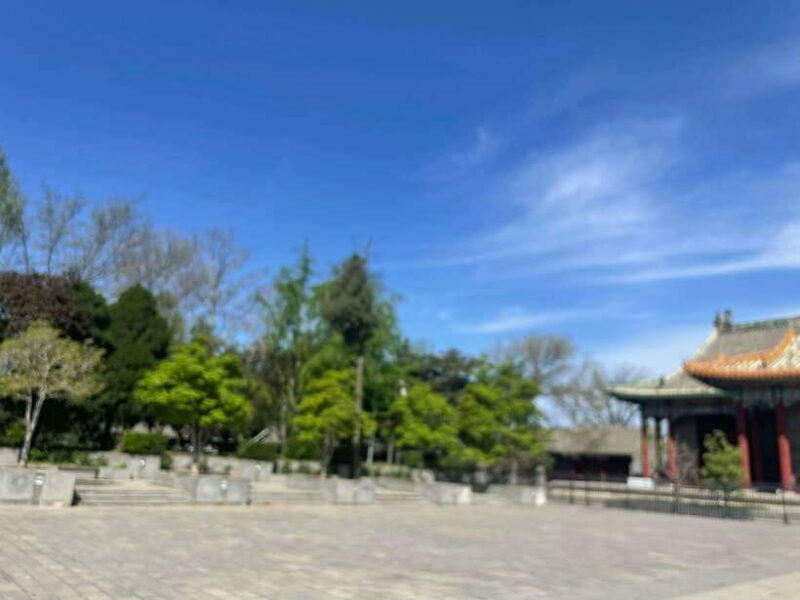 Chinese Kungfu class in old temple beside Forbidden Ci - Final Thoughts: Is This Tour Right for You?