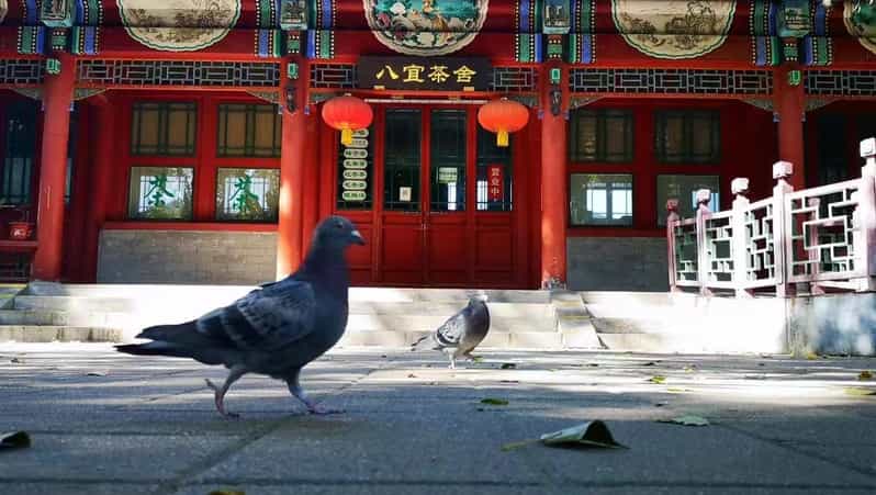 Chinese Tea Ceremony Your in Restored Natural Park - Key Points