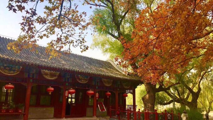 Chinese Tea Ceremony Your in Restored Natural Park - Optional Boat Trip to Summer Palace