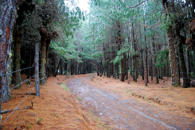 Chingaza National Park Hiking Private Tour (8 Hrs.) - Inclusions and Pickup