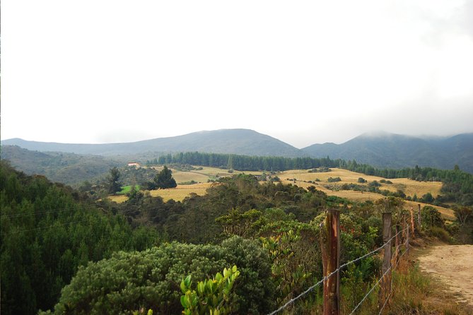 Chingaza National Park Hiking Private Tour (8 Hrs.) - Local Guide Expertise