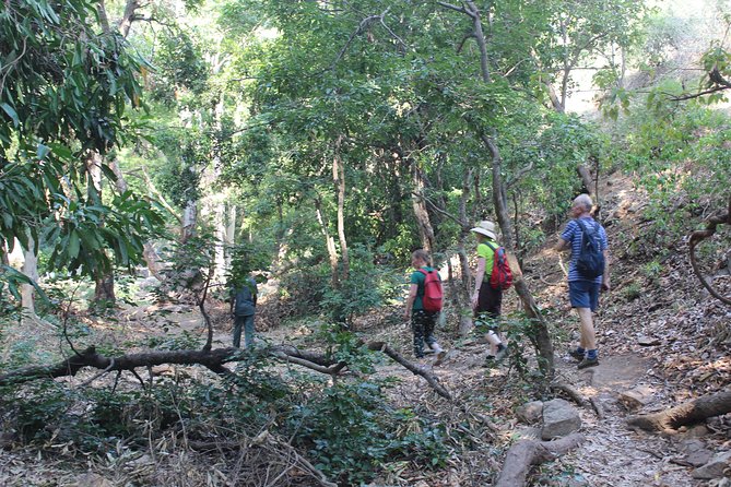 Chinnar Wild Valley Experience Day Tour ( by Munnar Info) - Chinnar Wildlife Sanctuary