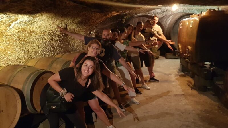 Chinon: Bicycle Tour of Saumur Wineries With Picnic Lunch - Key Points