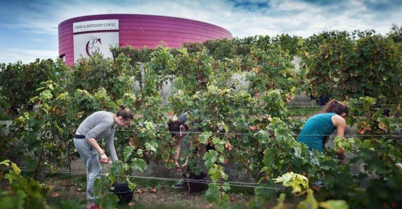 Chinon : Discovery Tours and Wine Tasting - Tour Details