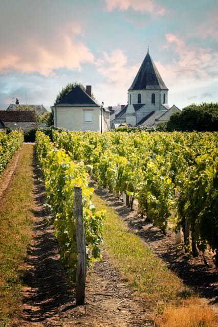 Chinon: Prestige Tours and Wine Tasting - Wine Tasting Experience