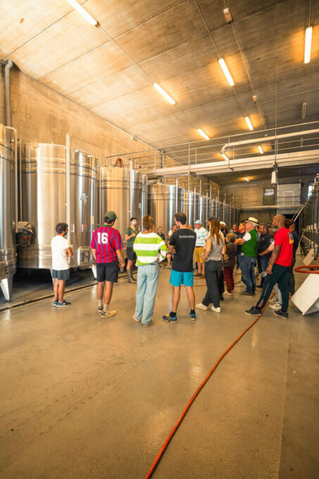 Chinon: Prestige Tours and Wine Tasting - Winemaking Blend