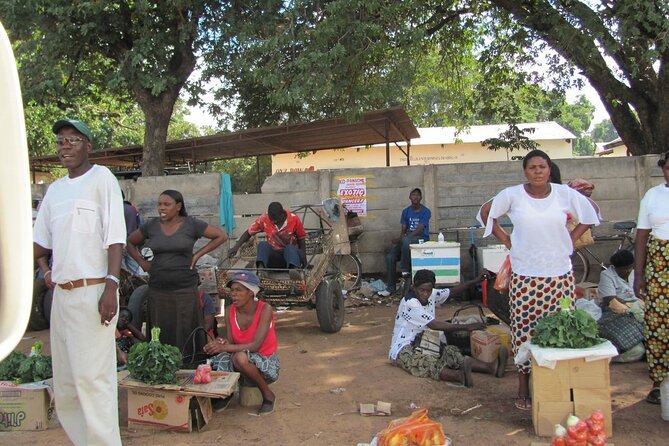 Chinotimba Township Tour (Zimbabwe) - Language and Accessibility
