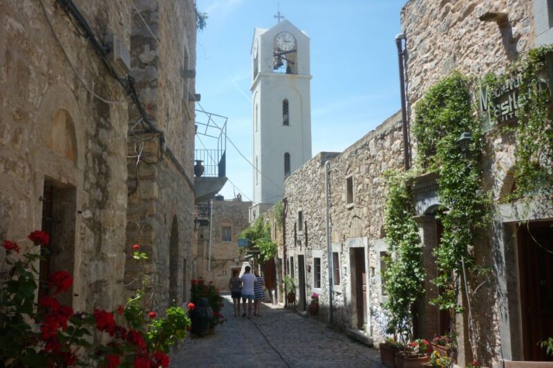 Chios: Half-Day Sightseeing Tour - Mastic Tree Cultivation