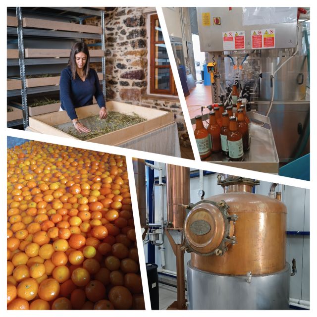 Chios: Local Products Experience & Tasting - Highlights of the Experience