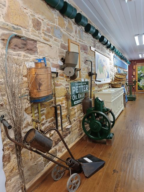 Chios: Orange Farm Trip & Tasting - Citrus Museum Visit - Activity Highlights
