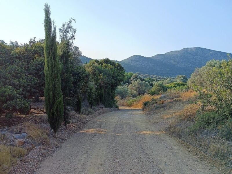 Chios:Armolia Castle Hiking Tour - Participant Restrictions