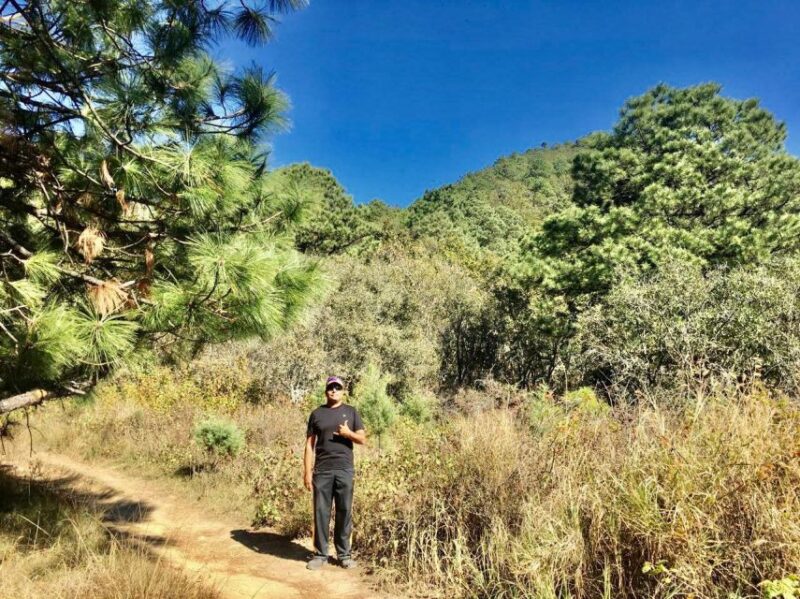Chipinque Hiking Tour, With Guide, Transfer and Tickets - Participant Restrictions