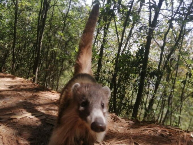 Chipinque Hiking Tour, With Guide, Transfer and Tickets - Customer Feedback