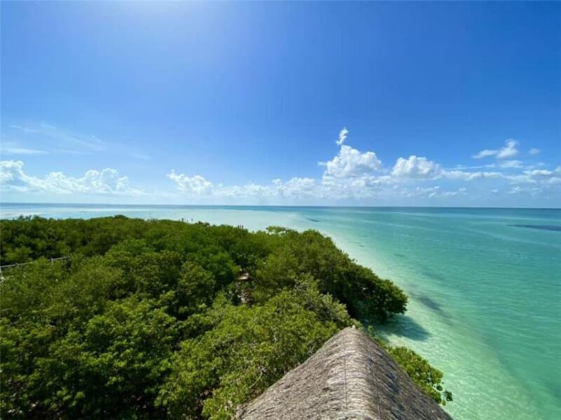 Chiquilá: Holbox Island and Isla Pasión Day Trip - Itinerary and Activities