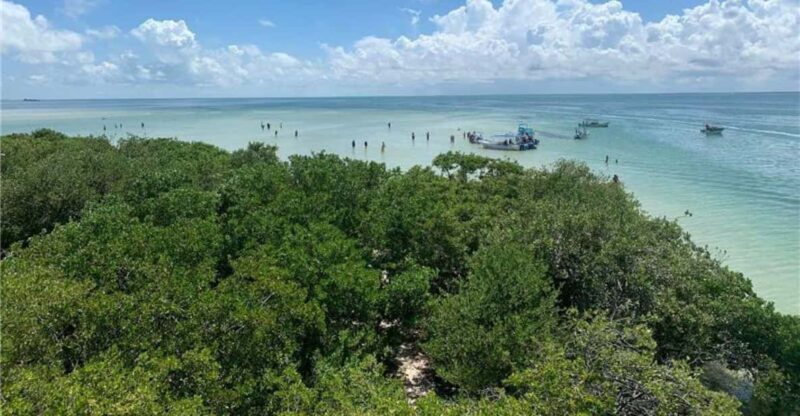 Chiquilá: Holbox Island and Isla Pasión Day Trip - Highlights and Experiences