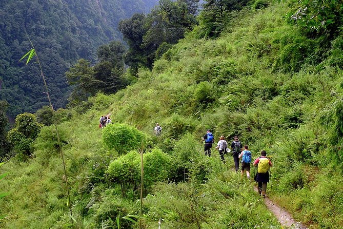 Chisapani - Nagarkot Trek Nepal - 3 Days - Operator and Reviews