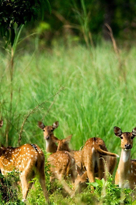 Chitwan: 2-Night 3-Day Highlights Tour With Accommodation - Cancellation and Payment Policy