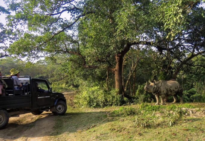Chitwan: 2-Night Safari Tour With Jeep Tour and Jungle Walk - Suitability Considerations
