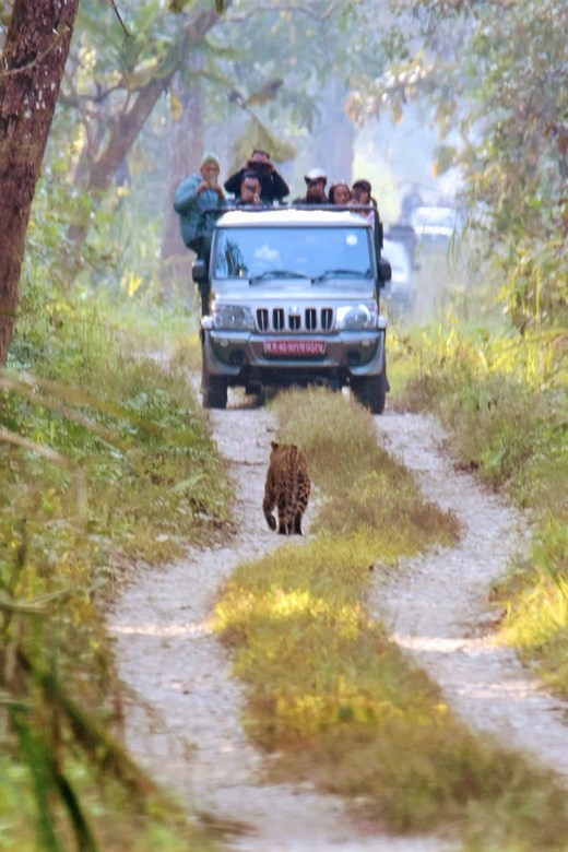 Chitwan: 3-Day Chitwan National Park Safari Tour - Itinerary