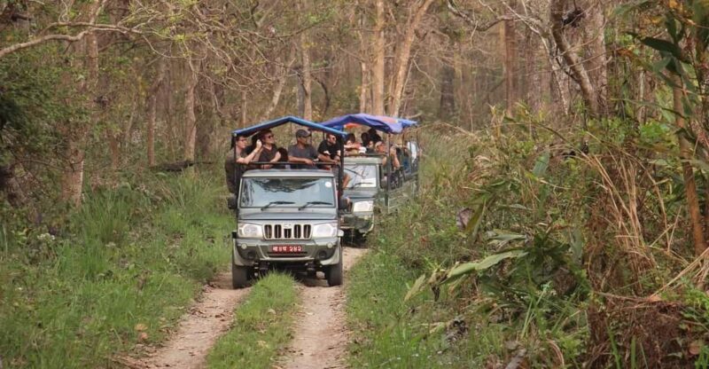 Chitwan: 3-Day Chitwan National Park Safari Tour - Inclusions