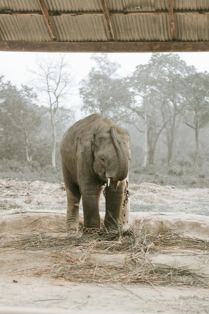 Chitwan: 3-Day National Park Tour With Wildlife Safari - Exclusions and Restrictions