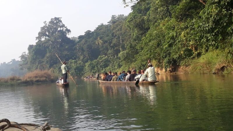 Chitwan: 4-Day Chitwan National Park Tiger Safari Tour - Guided Experiences
