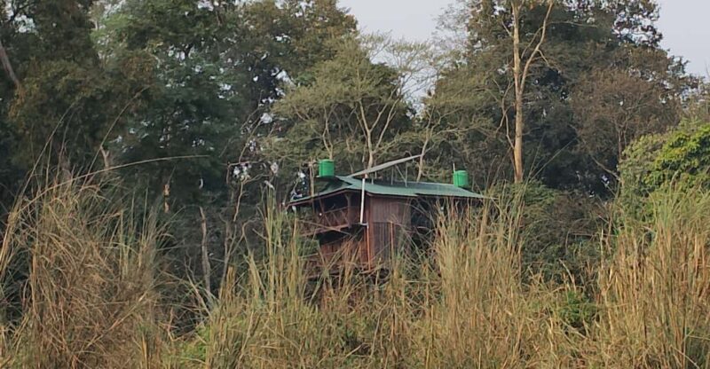Chitwan: Jungle One Night Towerstay in Chitwan National Park - Accommodation and Amenities