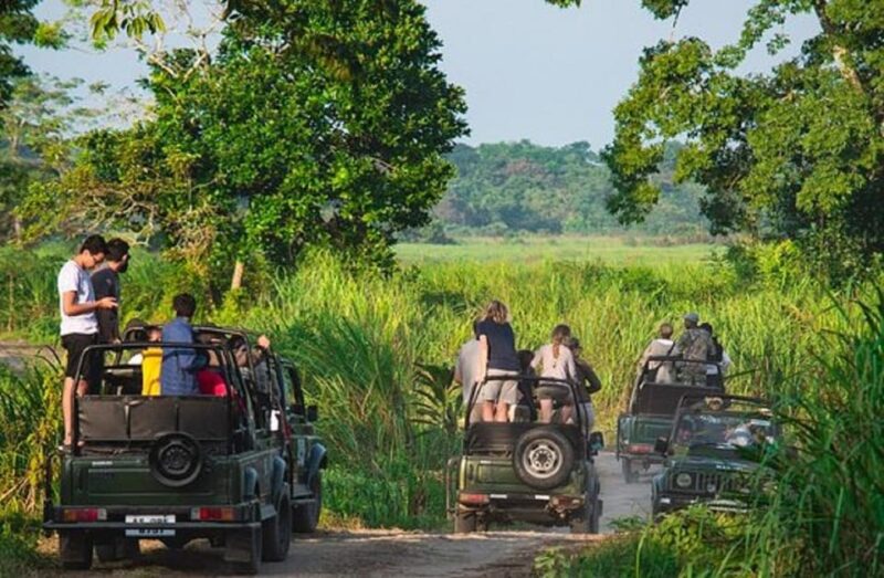 Chitwan Jungle Safari 2 Nights 3 Days From Kathmandu - Activities and Wildlife