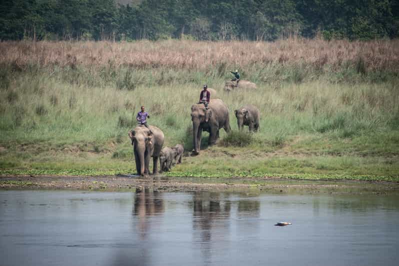 Chitwan Jungle Safari 2 Nights 3 Days - Itinerary Highlights