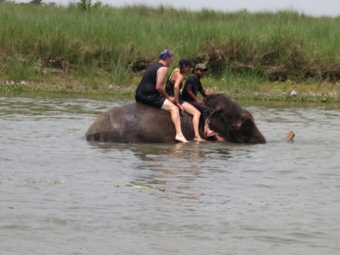 Chitwan Jungle Safari 2 Nights 3 Days - Booking Details