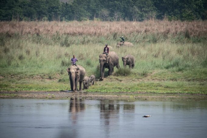 Chitwan Jungle Safari 2 Nights 3 Days - Frequently Asked Questions
