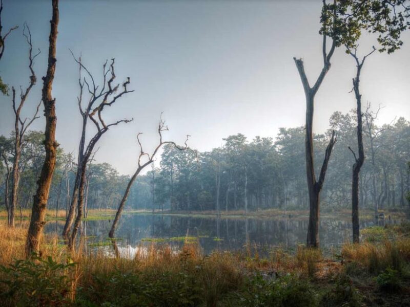 Chitwan Jungle Safari: 3-Day Wildlife Expedition - Key Points