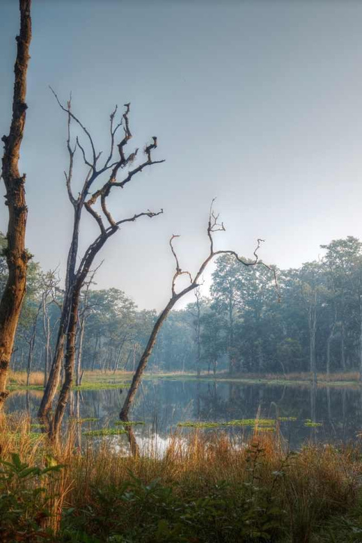 Chitwan Jungle Safari: 3-Day Wildlife Expedition - Included Services