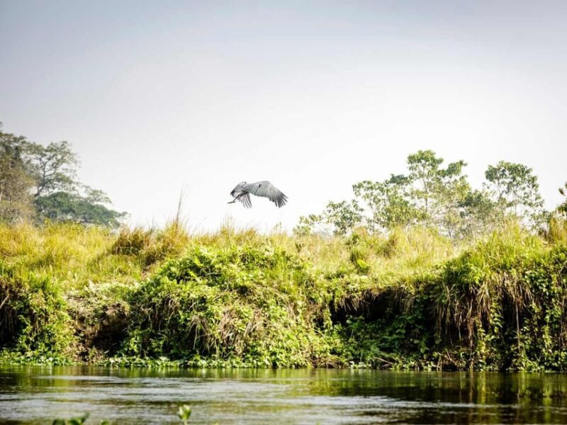 Chitwan Jungle Safari: 3-Day Wildlife Expedition - Additional Costs and Optional Activities