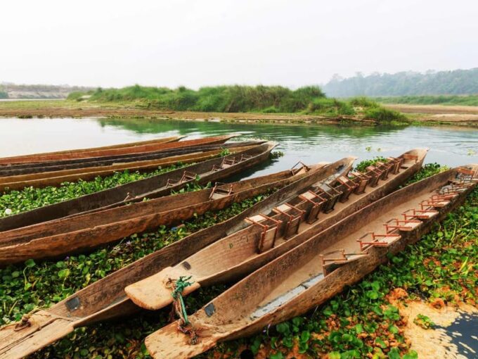 Chitwan Jungle Safari: 3-Day Wildlife Expedition - Wildlife Spotted in Chitwan