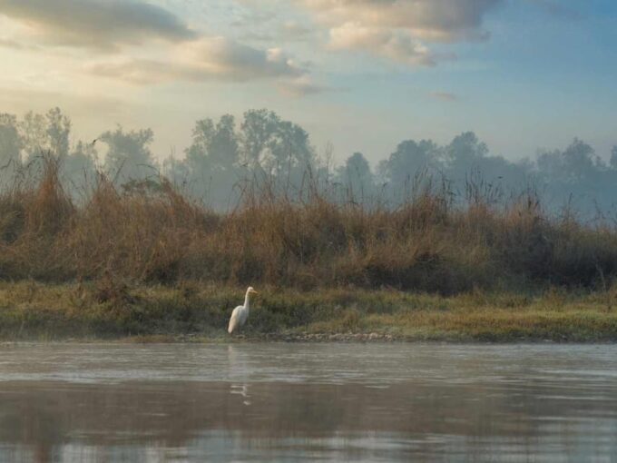 Chitwan Jungle Safari: 3-Day Wildlife Expedition - Cultural Immersion in Tharu Village