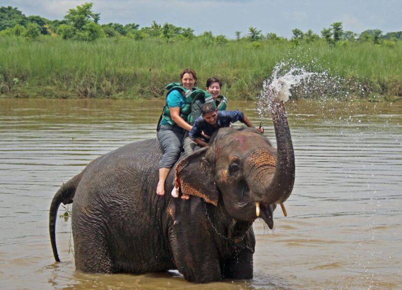 Chitwan Jungle Safari 3 Night 4 Days - Detailed Itinerary