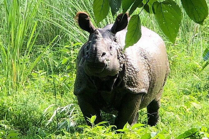 Chitwan Jungle Safari from Kathmandu and Back Multi Day Tour - Who Should Consider This Tour?