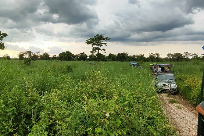 Chitwan Jungle Safari from Kathmandu and Back Multi Day Tour - Final Thoughts