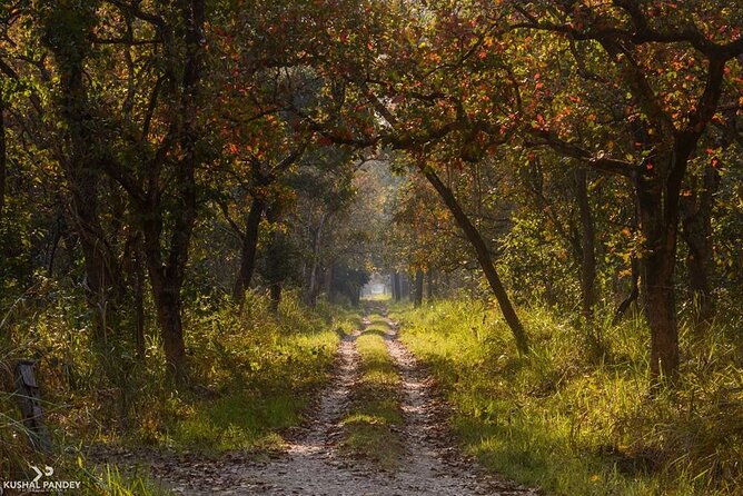 Chitwan Jungle Safari Tour – 2 Night /3 Days With Private Transportation - Key Points