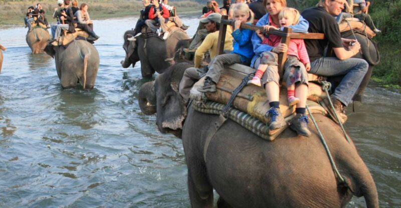 Chitwan Jungle Safari Tour: 3-Day Chitwan National Park Tour - Wildlife and Cultural Experiences