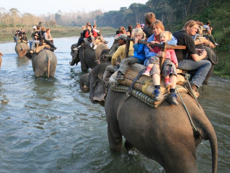 Chitwan Jungle Safari Tour: 3-Day Chitwan National Park Tour - Cancellation and Payment Options