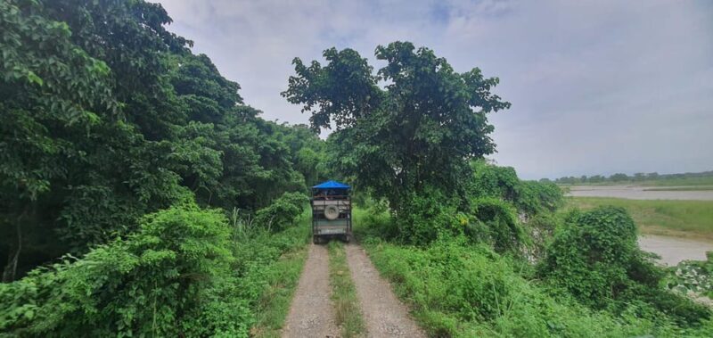 Chitwan Jungle Safari Tour by Private Car at Luxury Resort - Canoeing and Nature Walks