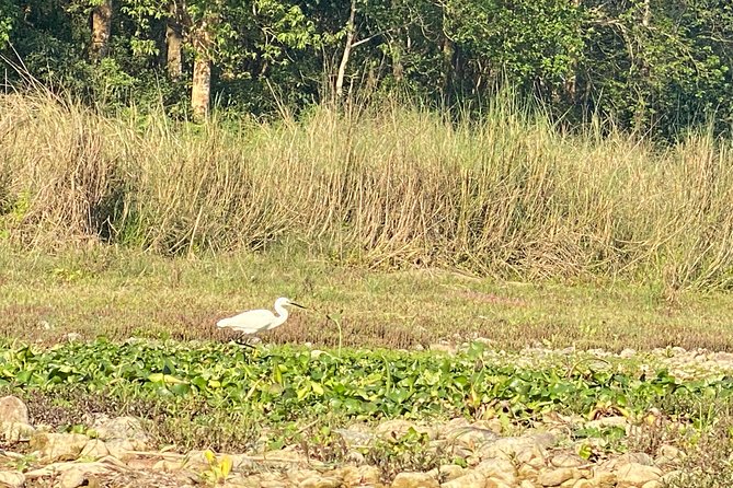 Chitwan Jungle Safari Tour - Package Inclusions