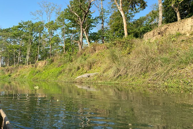 Chitwan Jungle Safari Tour - Additional Information