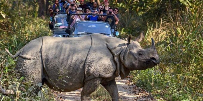 Chitwan Jungle Safari With National Park Tower Night Stay - Sustainable Tourism Approach
